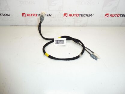 Faisceau de fils d'antenne Citroën C4 II B7 et DS4 9675654480 6587C8